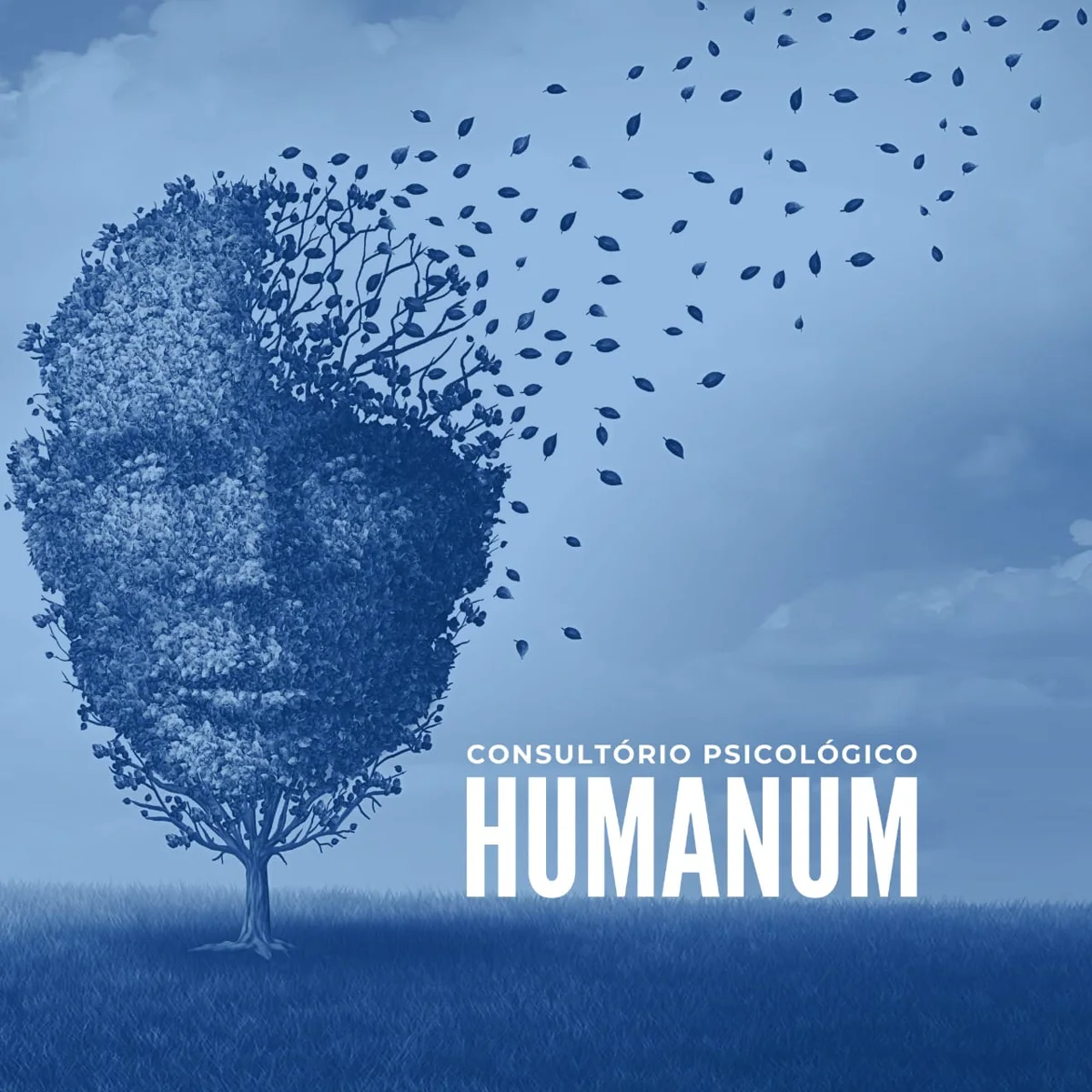 Identidade visual do Consultório Psicológico Humanum